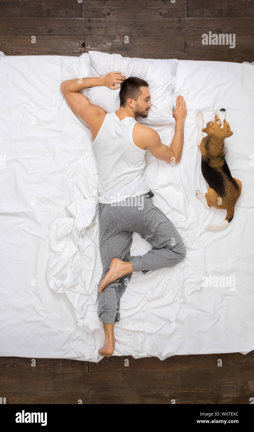 Young man relaxation on the bed top view sleeping with a dog Stock Photo