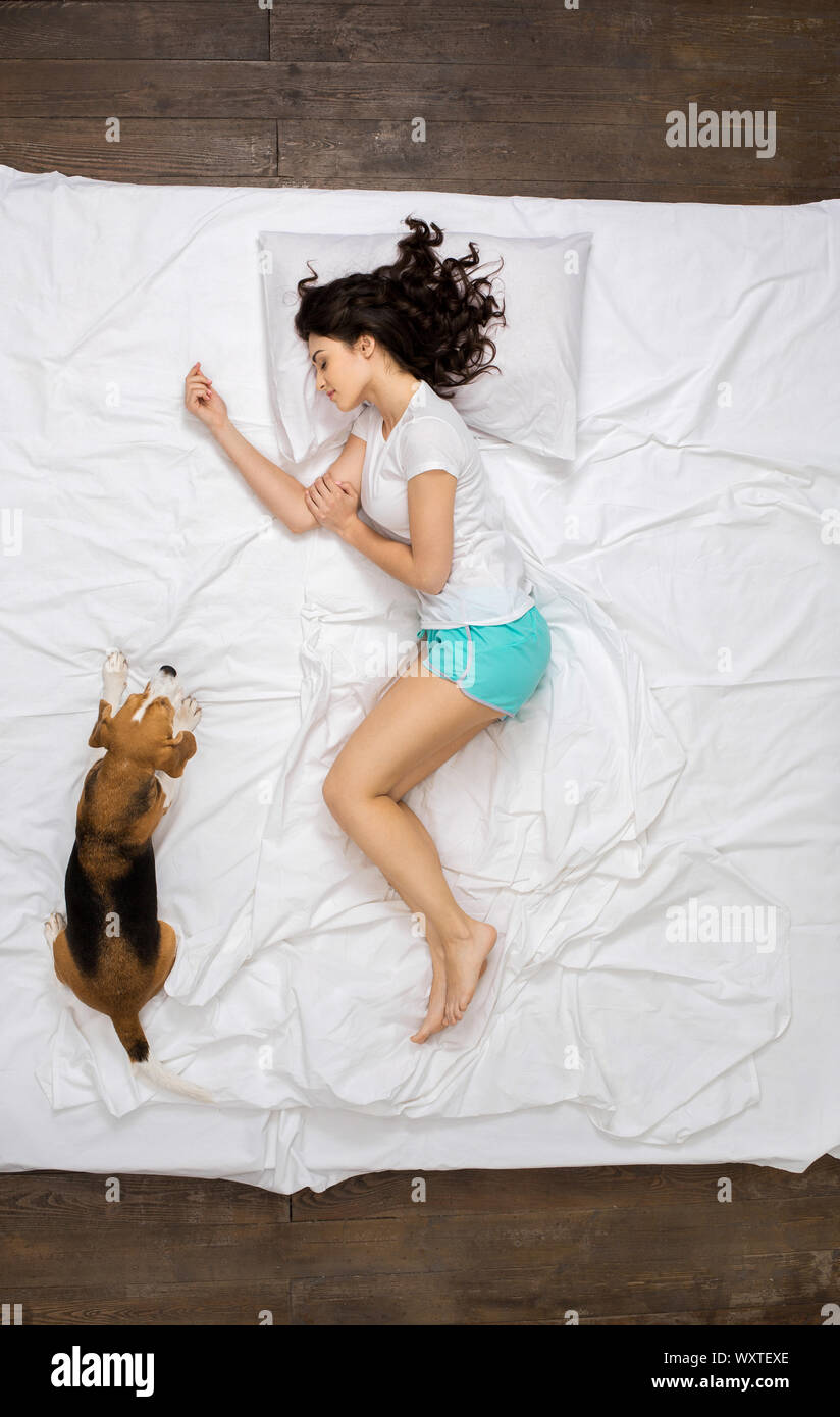 Young woman resting on the bed top view with a dog dreaming Stock Photo