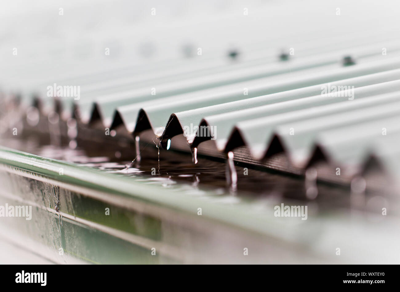 Corrugated tin roof hires stock photography and images Alamy