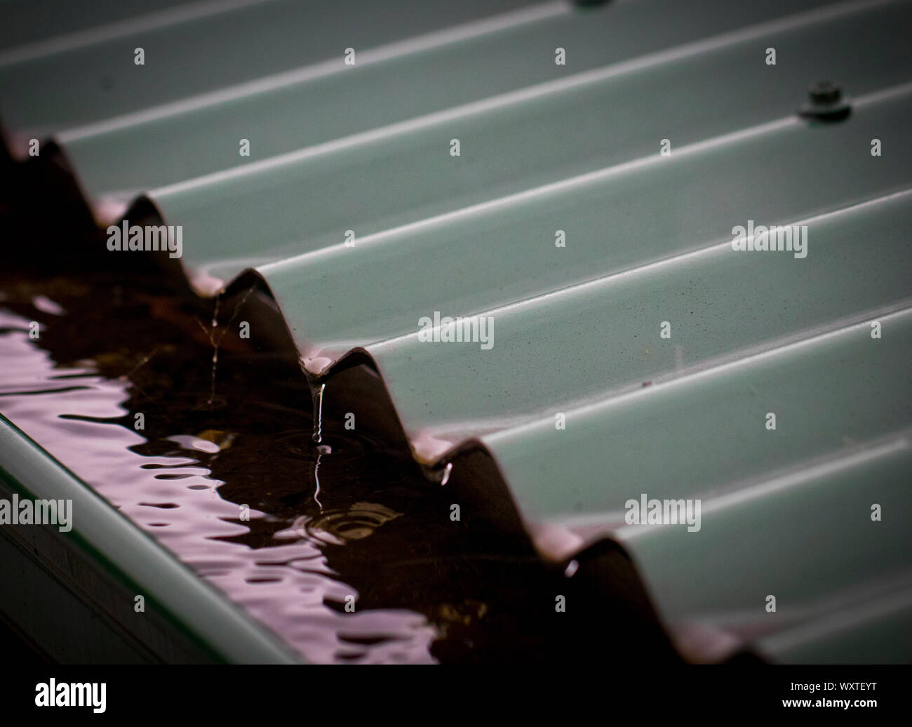 Corrugated tin roof hires stock photography and images Alamy