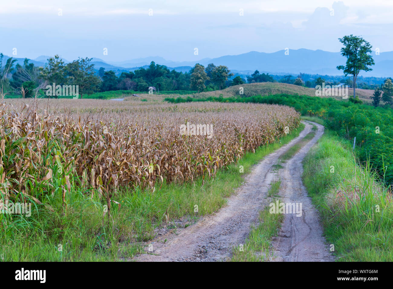 Blue ridge farmer hi-res stock photography and images - Alamy