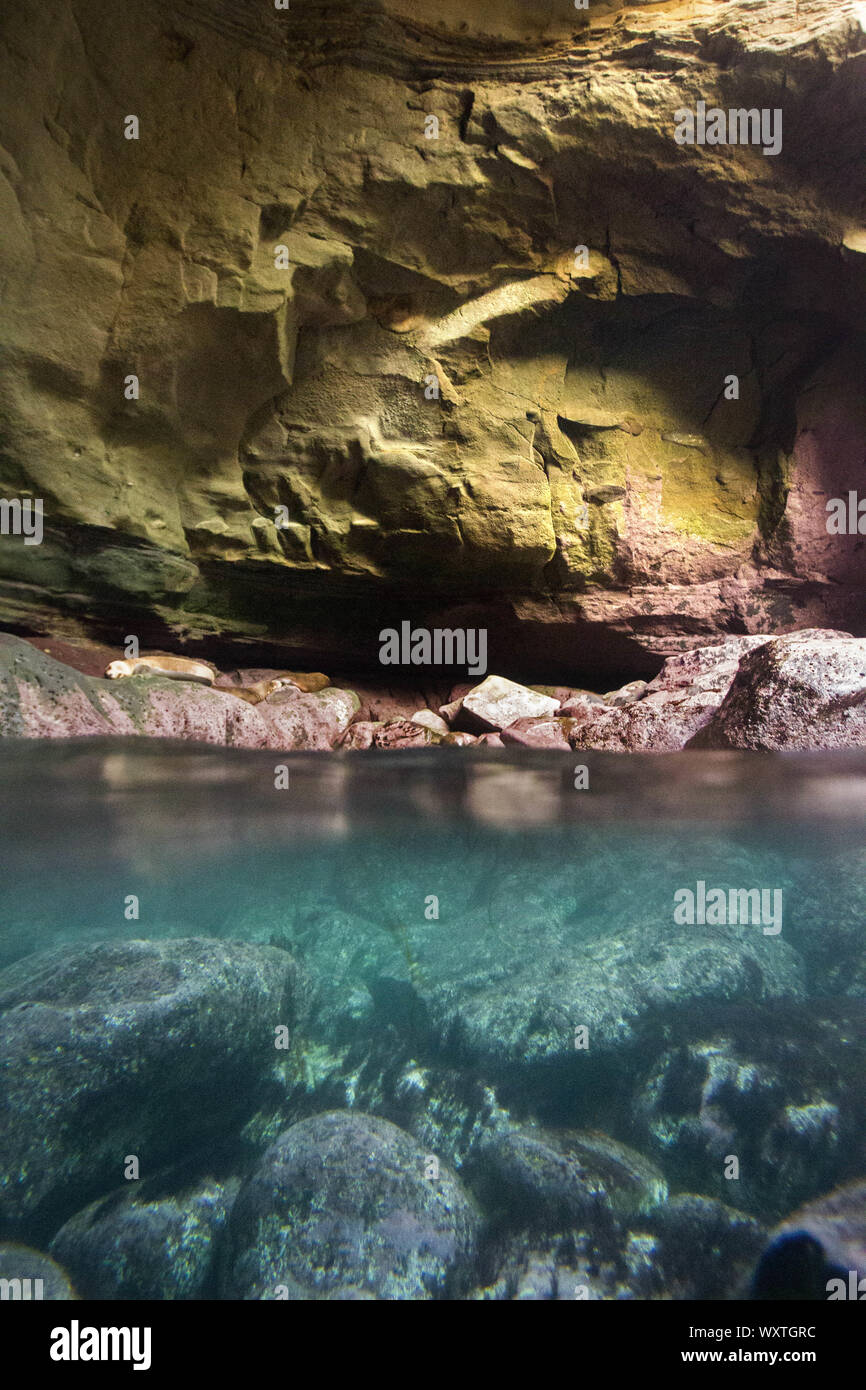 San Diego, California, USA. 24th May, 2010. The scene of below and under the surface in a cave in La Jolla Cove on a warm summer day. The cove is protected as part of a marine reserve, which is rich in marine life, and is popular with kayakers, snorkelers, swimmers and scuba divers. Credit: KC Alfred/ZUMA Wire/Alamy Live News Stock Photo