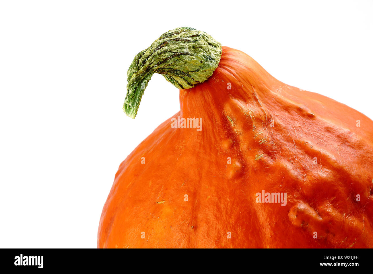Beautiful halloween pumpkin detail with bright colors and room to write and insert text isolated on white background and studio lighting for beautiful Stock Photo
