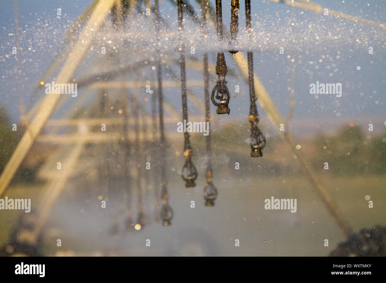 Irrigation system watering crops by spraying water Stock Photo