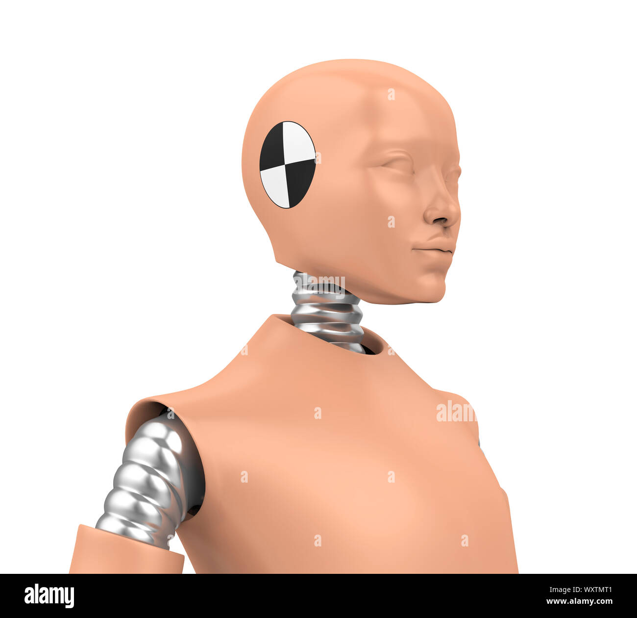 Crash Test Dummy Isolated Stock Photo Alamy
