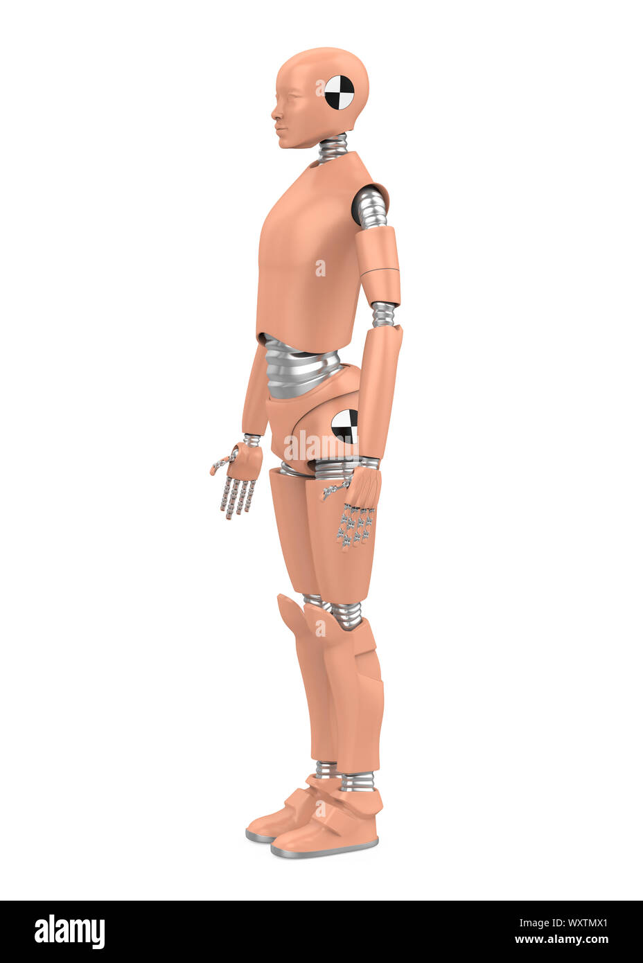 Crash Test Dummy Isolated Stock Photo Alamy