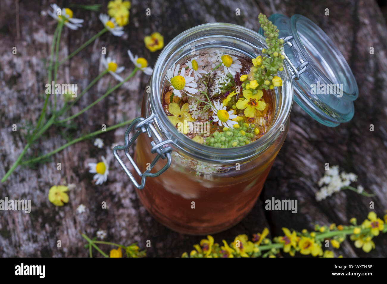 Krauterwein Bowle Wein Heilwein Blutenwein Sommersonnenwende Mittsommer Ritual Wine Schwarze Konigskerze Schwarze Konigs Kerze Konigskerze Stock Photo Alamy