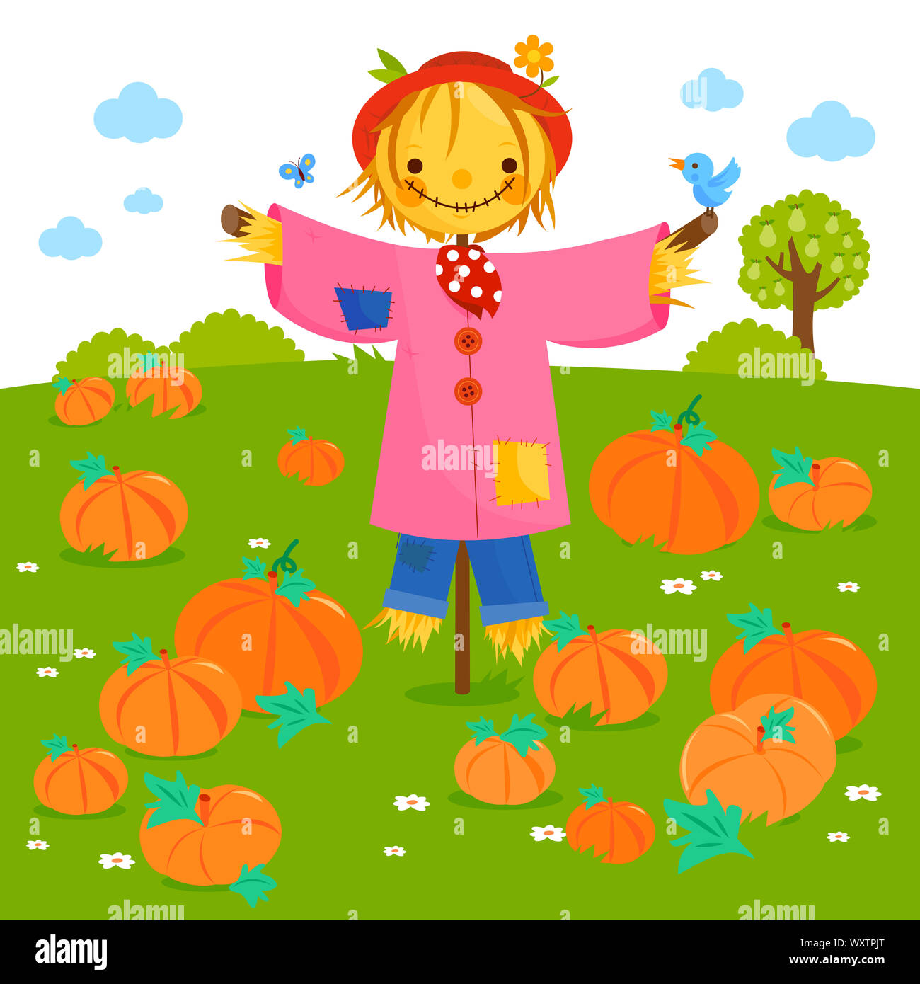 Rural landscape with pumpkin field and a scarecrow Stock Photo - Alamy