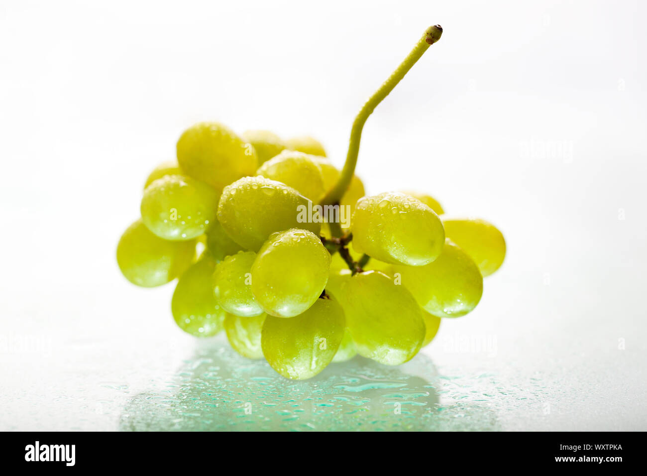 Bunch of wet white grapes from Greece with reflection on a glass table Stock Photo