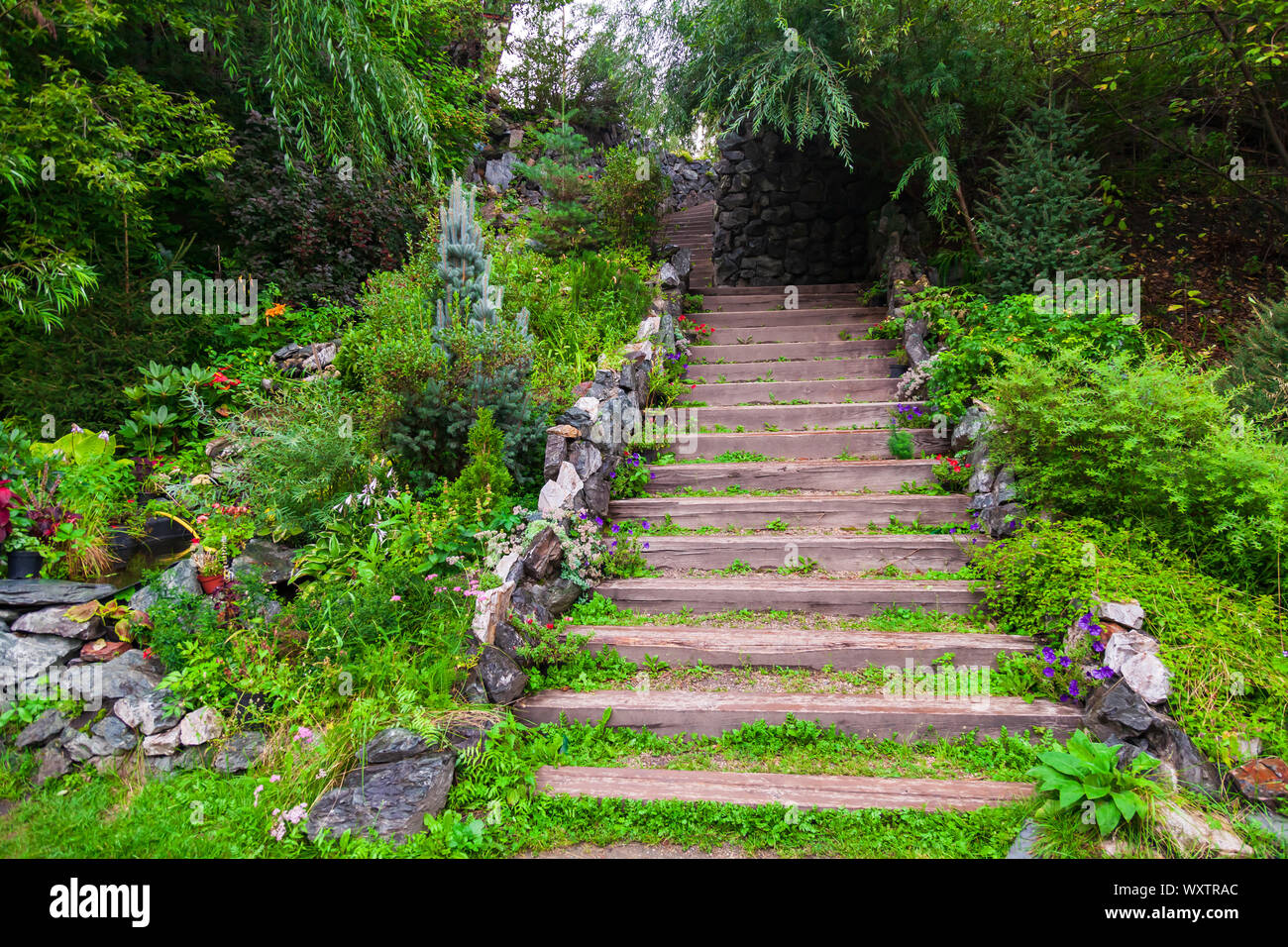 A long high staircase with wooden steps extending upward surrounded by stones and green plants in the garden in summer. Travel and mystical places. Stock Photo