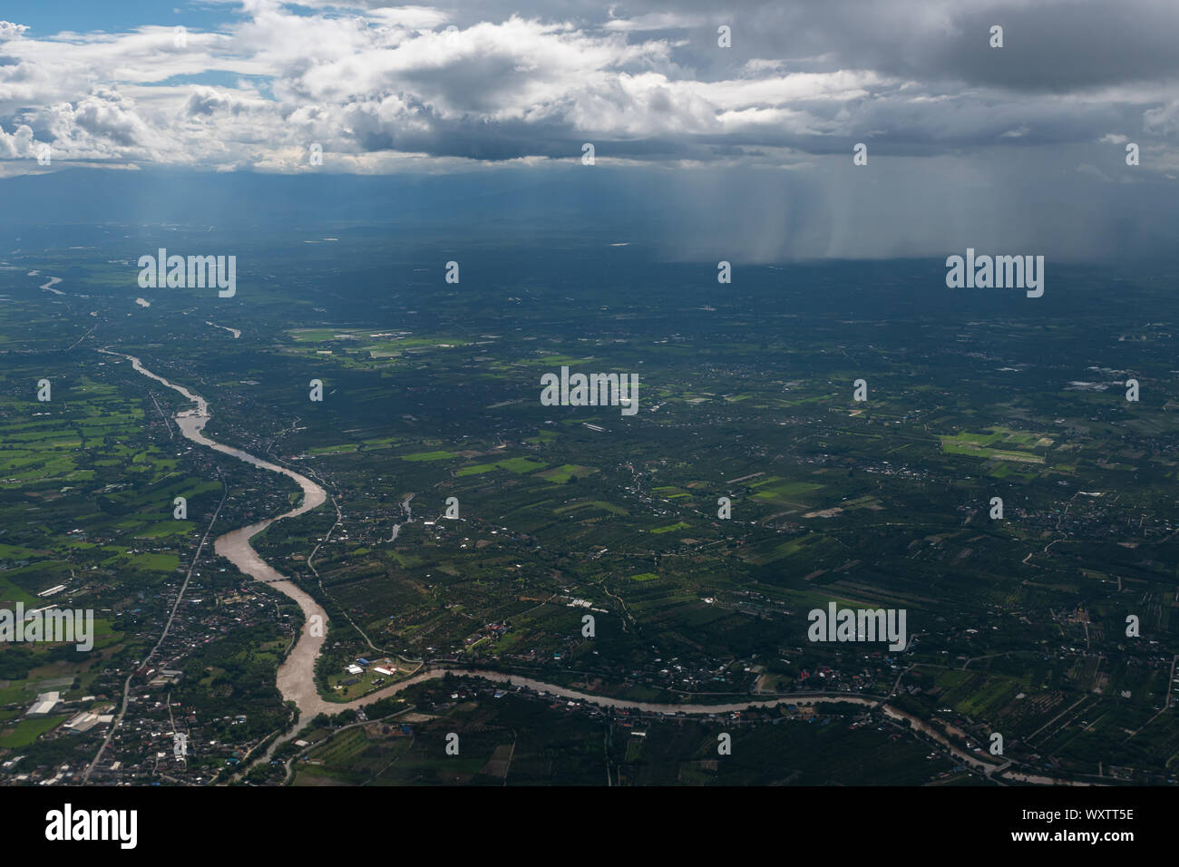 Tree of low altitude hi-res stock photography and images - Alamy