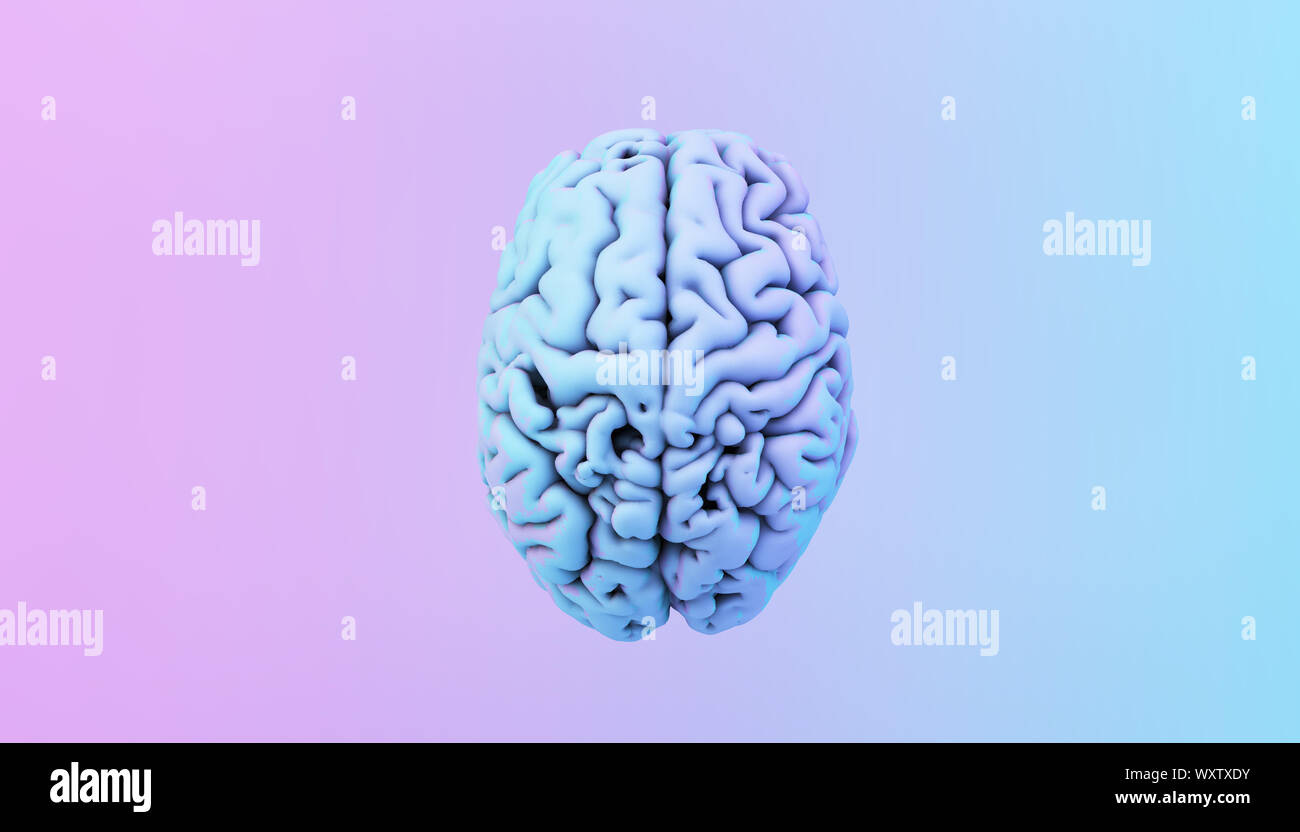 colorful brain illustration 3d rendering Stock Photo - Alamy