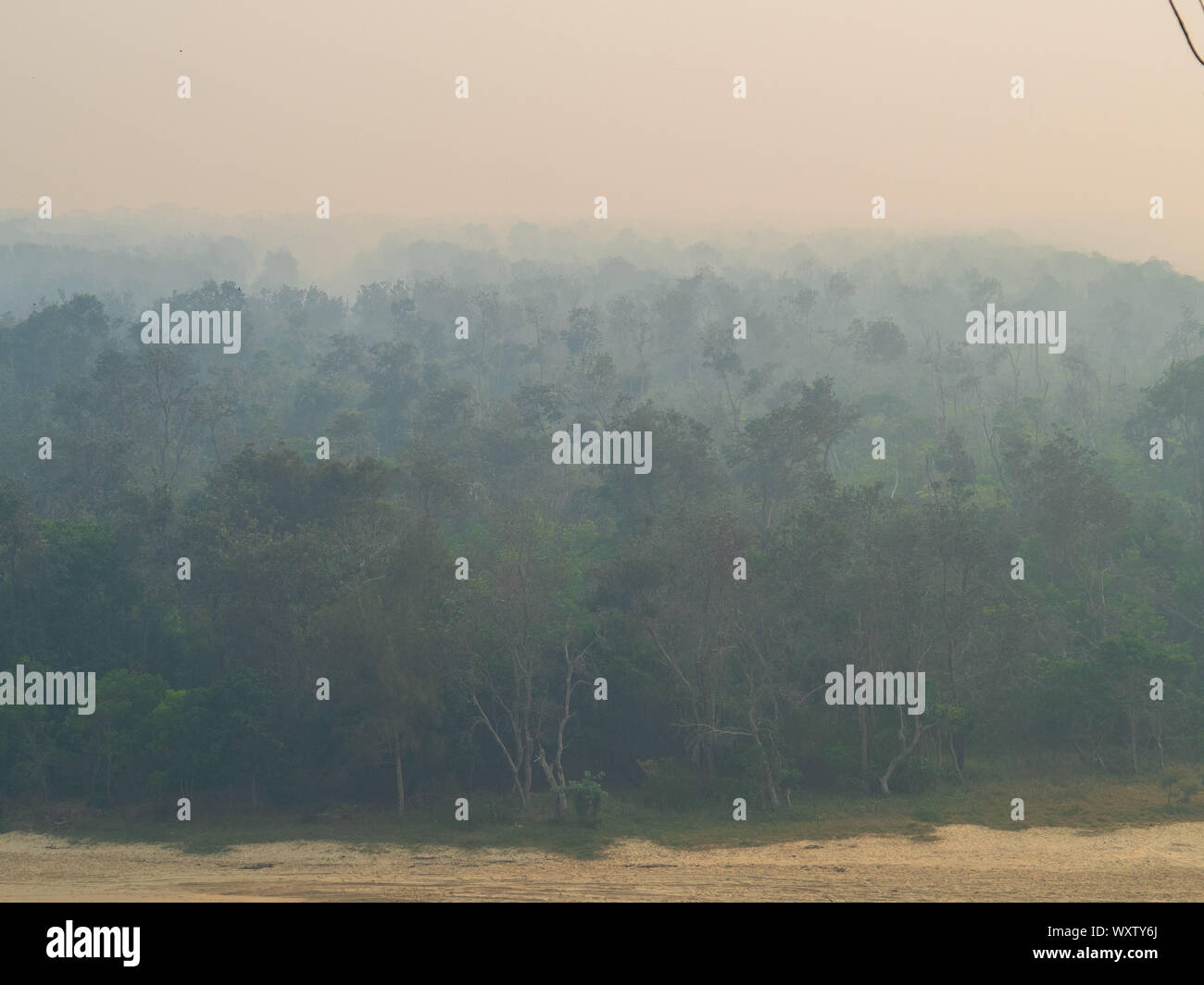 Smoke haze from distant Bush Fires, looks like it's rising from the Gum trees in the bush by the beach, pink orange sky, Spring, Coastal Australia Stock Photo