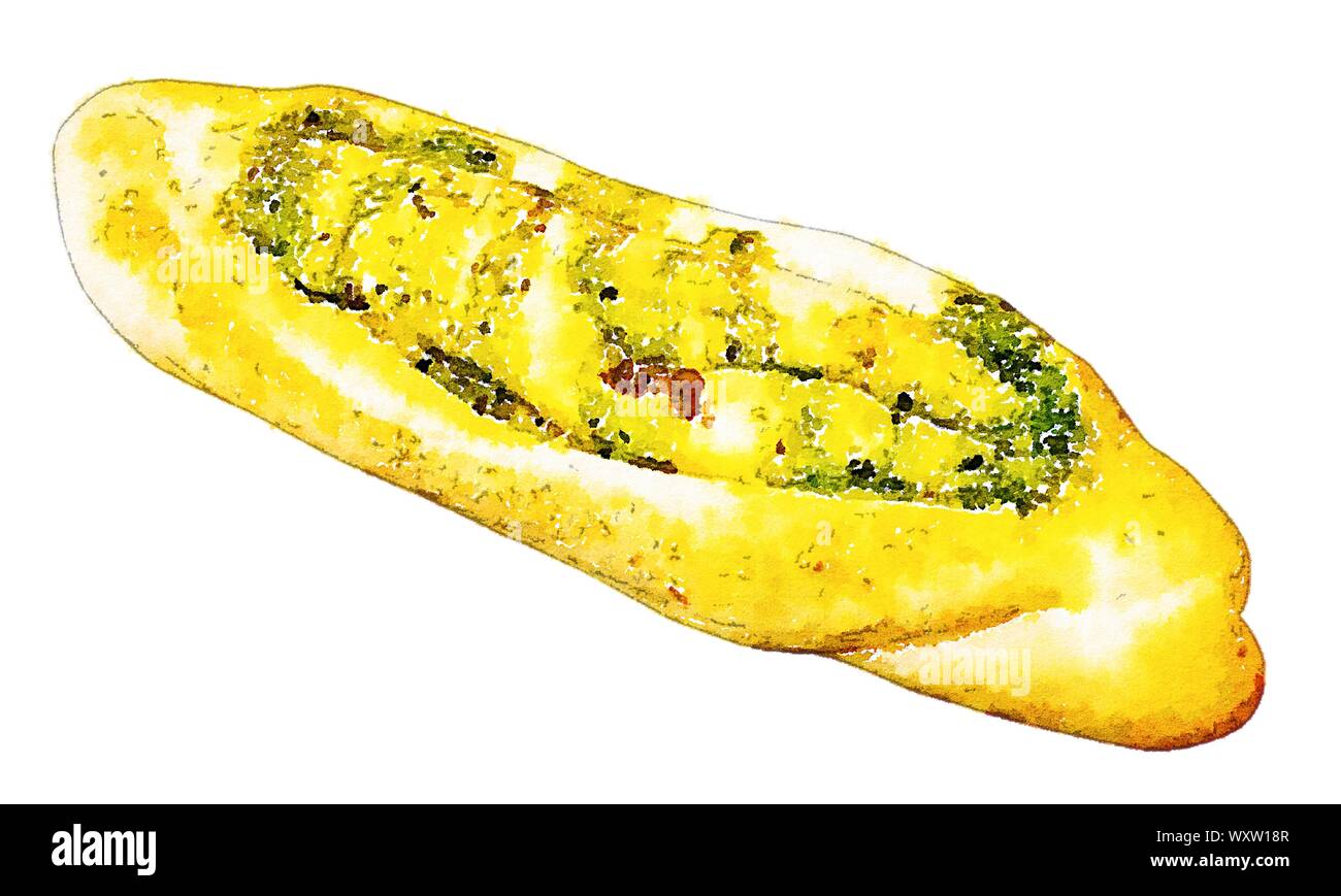 Closeup of colorful watercolor handpainted art illustration garlic