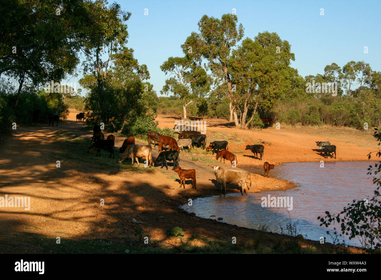 New South Wales Outback Trip to White Cliffs, Opal Mining City, Australia Stock Photo