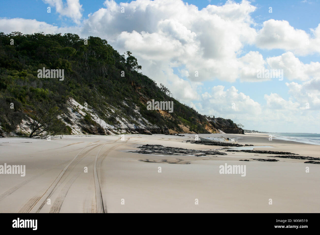 East coast beach with mangroves at Fraser Island, Queensland, Australia