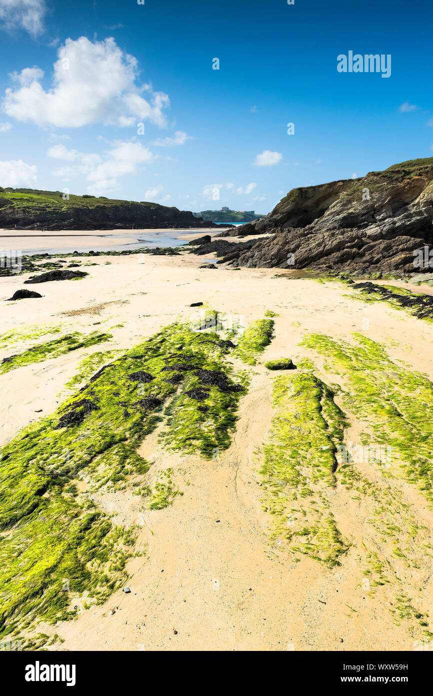 A spring tide exposing rocks at Porth Beach in Newquay in Cornwall Stock Photo Alamy