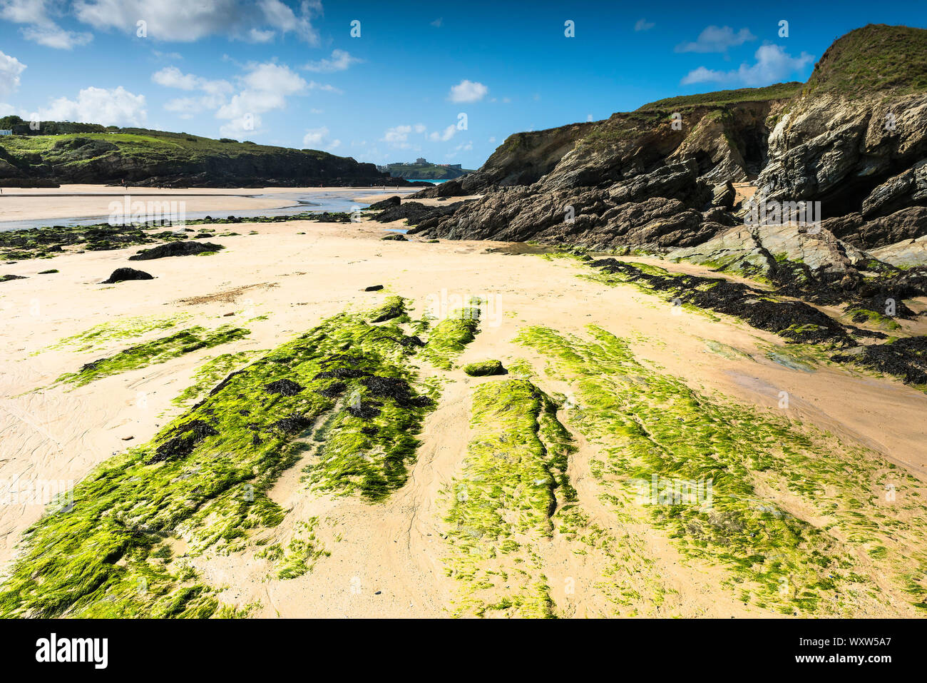 A spring tide exposing rocks at Porth Beach in Newquay in Cornwall