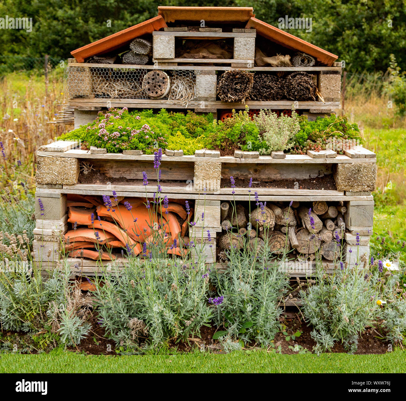 Bug Hotel made from old pallets, and recycled items at Aylett Nurseries, St Albans, Hertfordshire, England, United Kingdom. Stock Photo