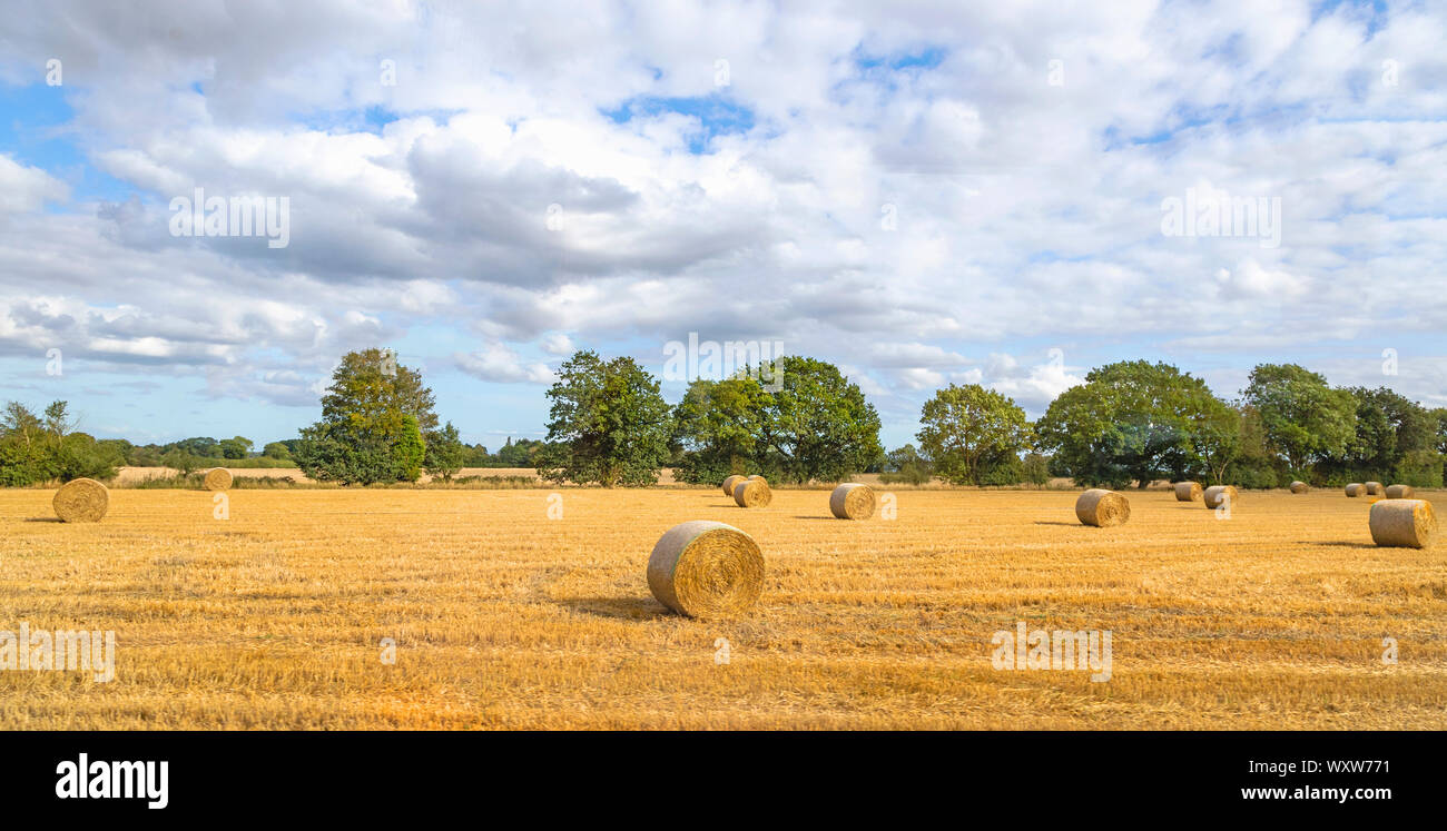 Hay bails and stubble in the countryside of Essex, England, United Kingdom. Stock Photo