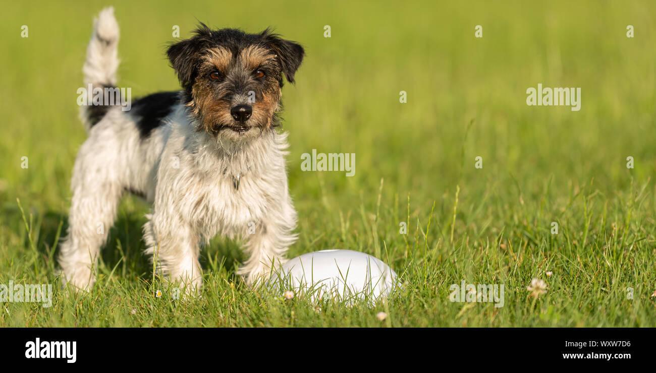 Sports training cone hires stock photography and images Alamy