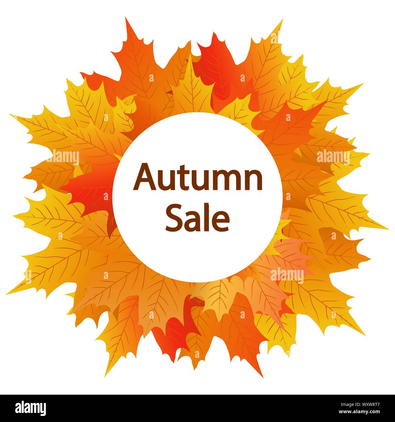 Autumn maple leaf on a white background Stock Vector
