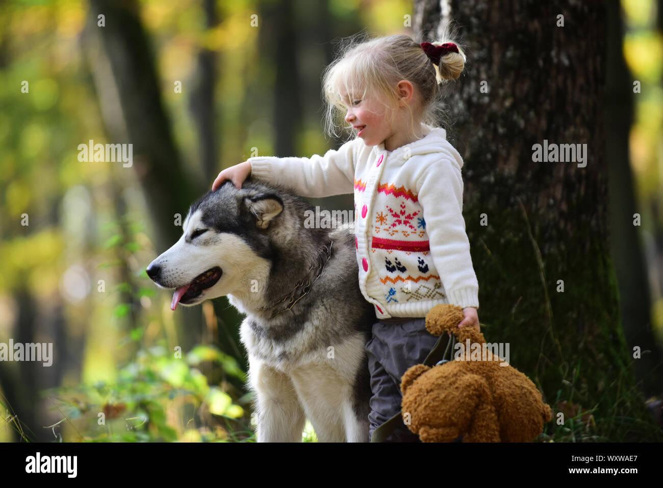 Little girl walking with dog in autumn forest Stock Photo - Alamy