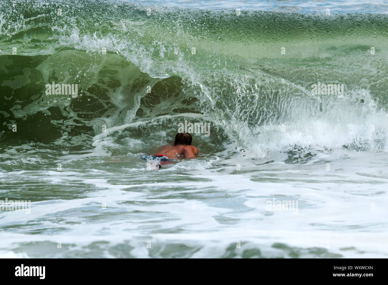 A surfer has to go under a wave, as it curls over him, to be able to get out further into the atlantic ocean off of Fire Island New York. Stock Photo