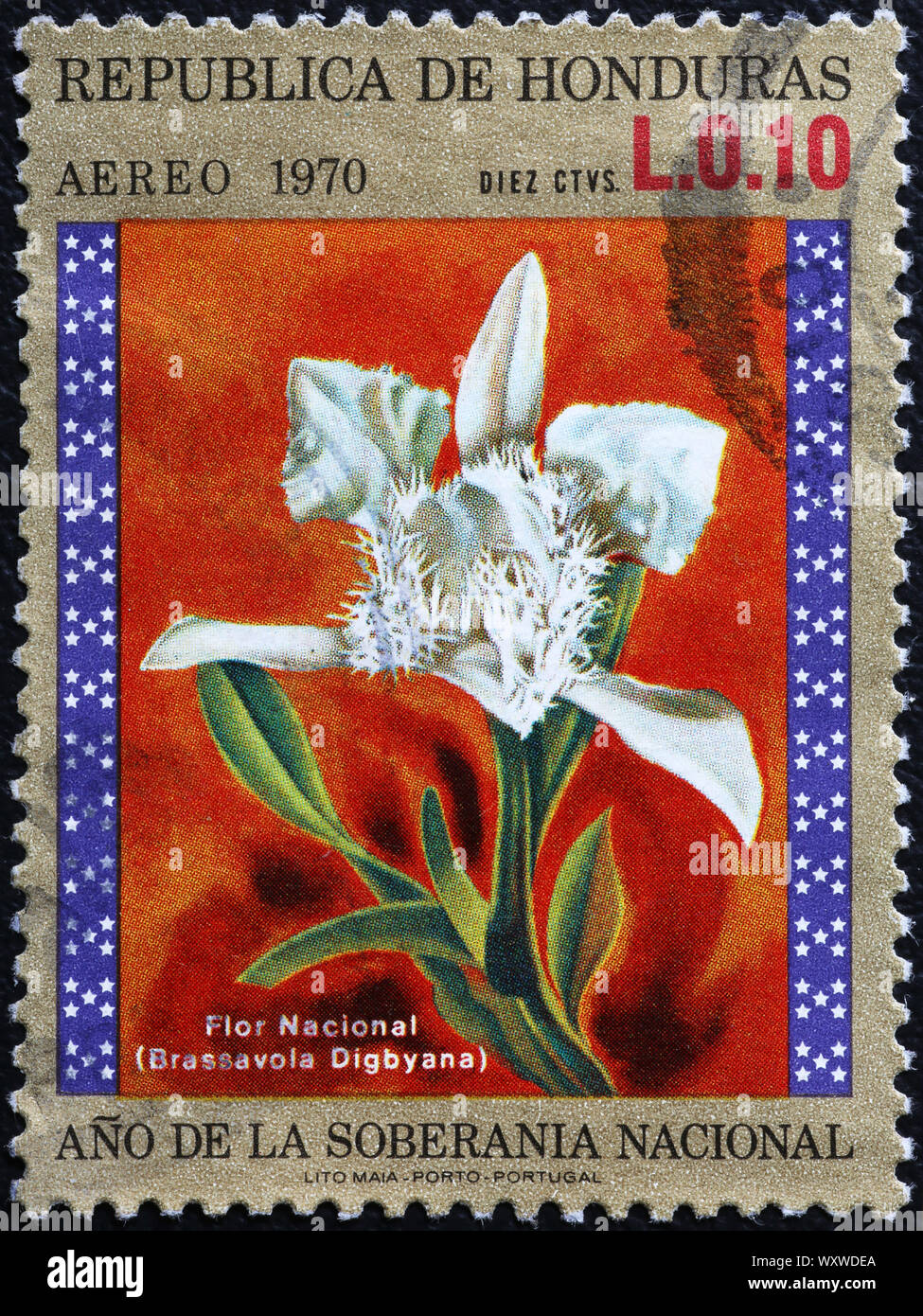 National flower of Honduras on postage stamp Stock Photo Alamy