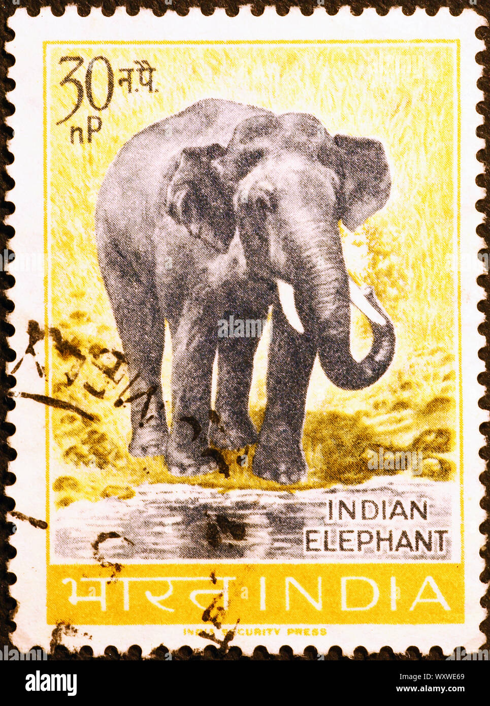 Asian elephant on indian postage stamp Stock Photo - Alamy