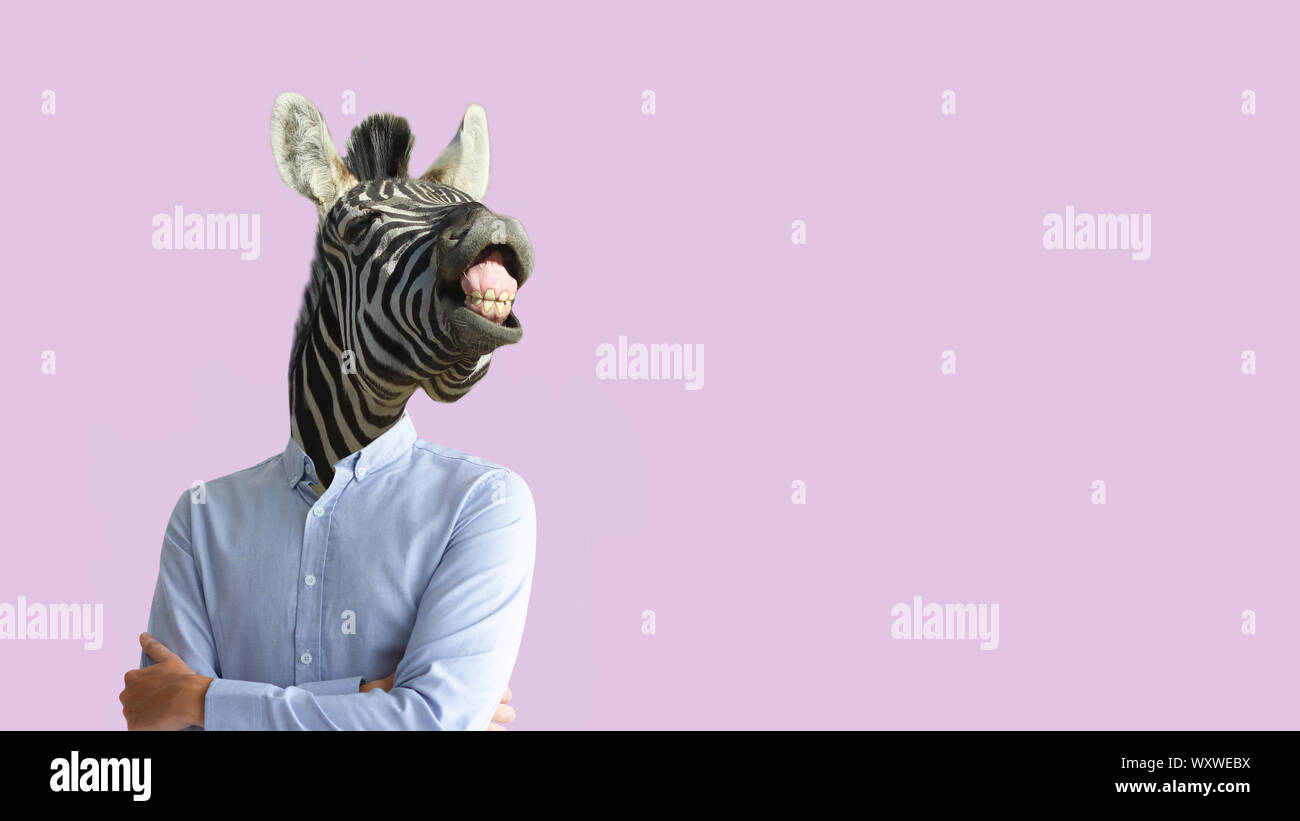 Contemporary art collage. Funny laughing zebra head on human body in business shirt. Clip art, negative space. Stock Photo