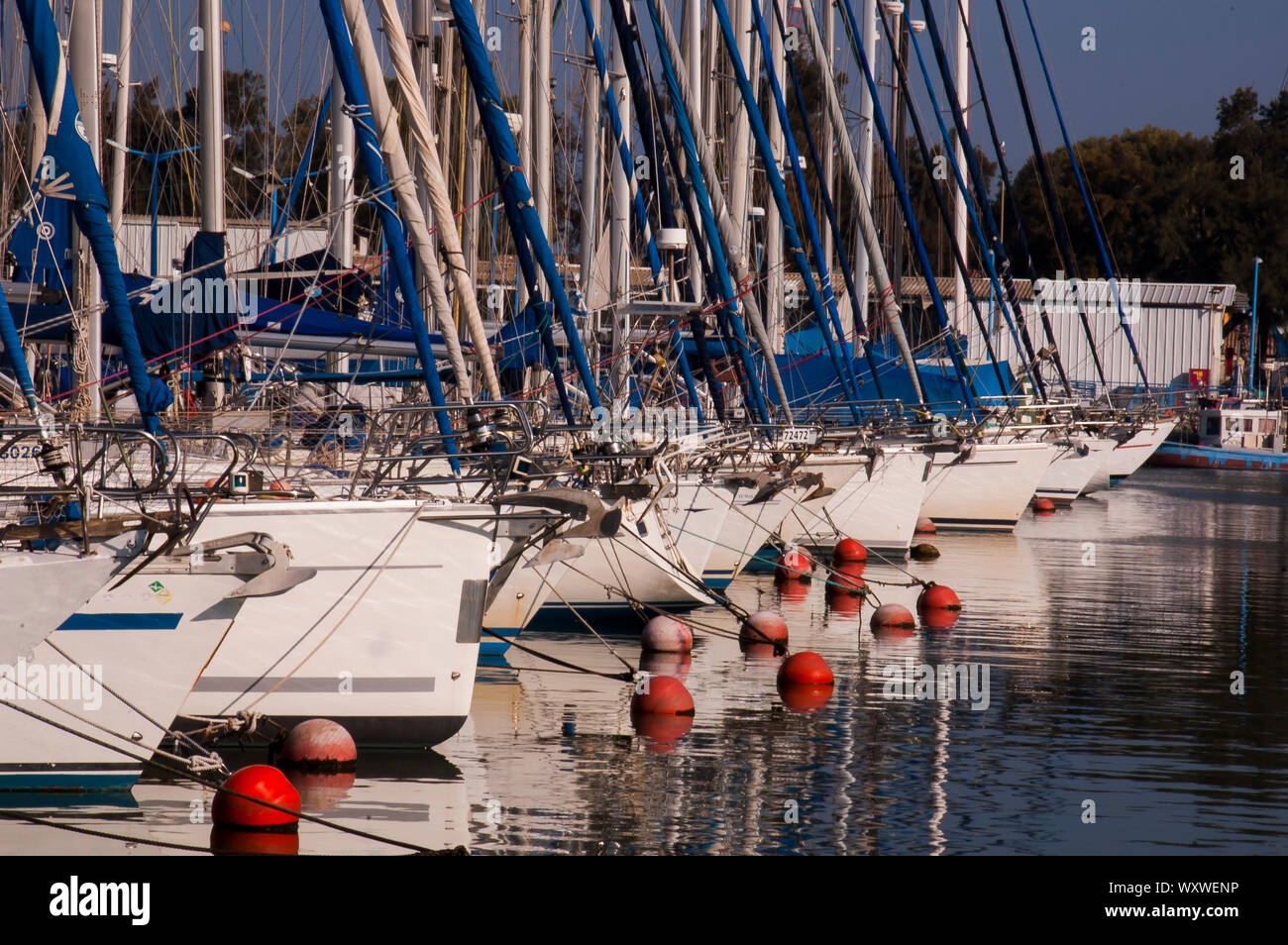 Sail boats in the marine Stock Photo