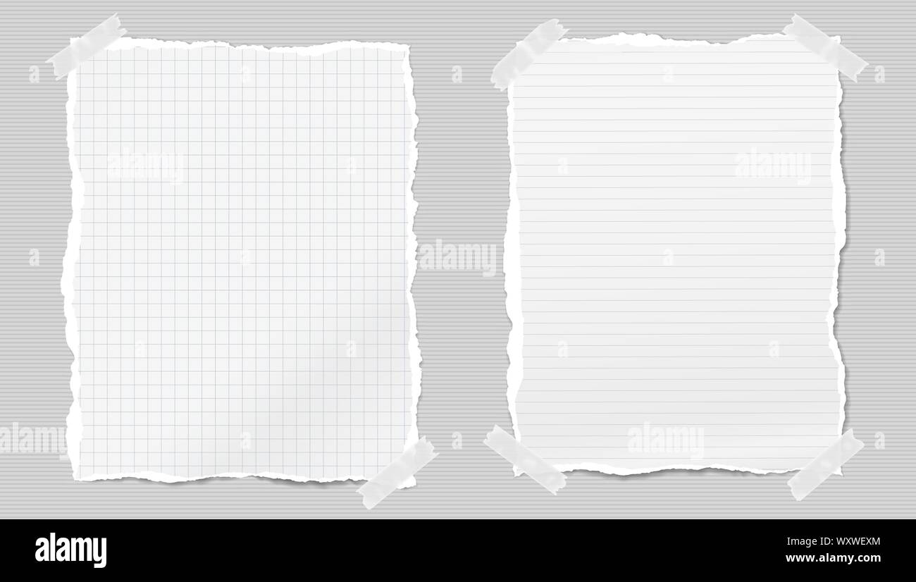Torn white and ruled note, notebook paper sheets stuck with sticky tape