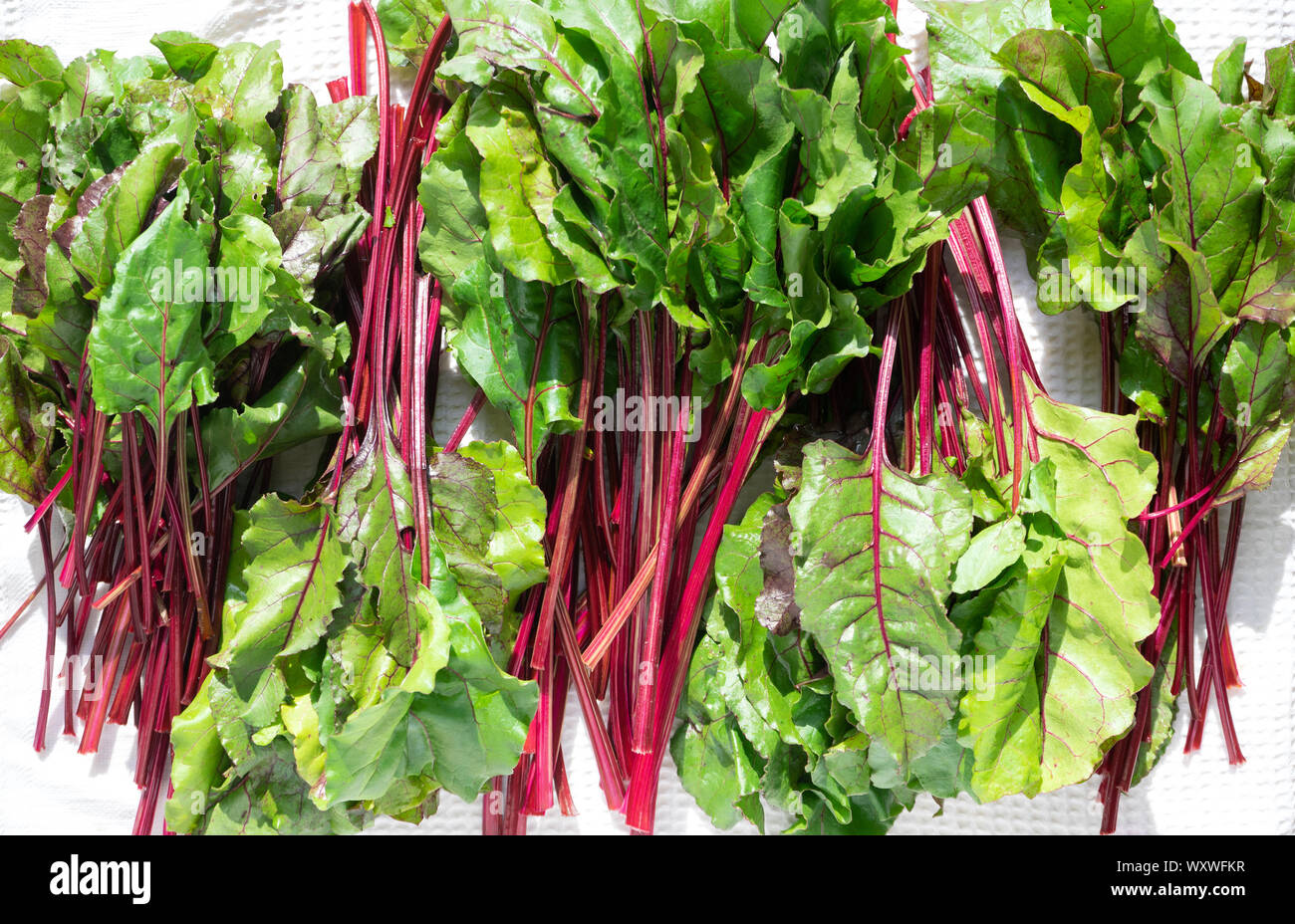 fresh vegetables - beet on the white background Stock Photo