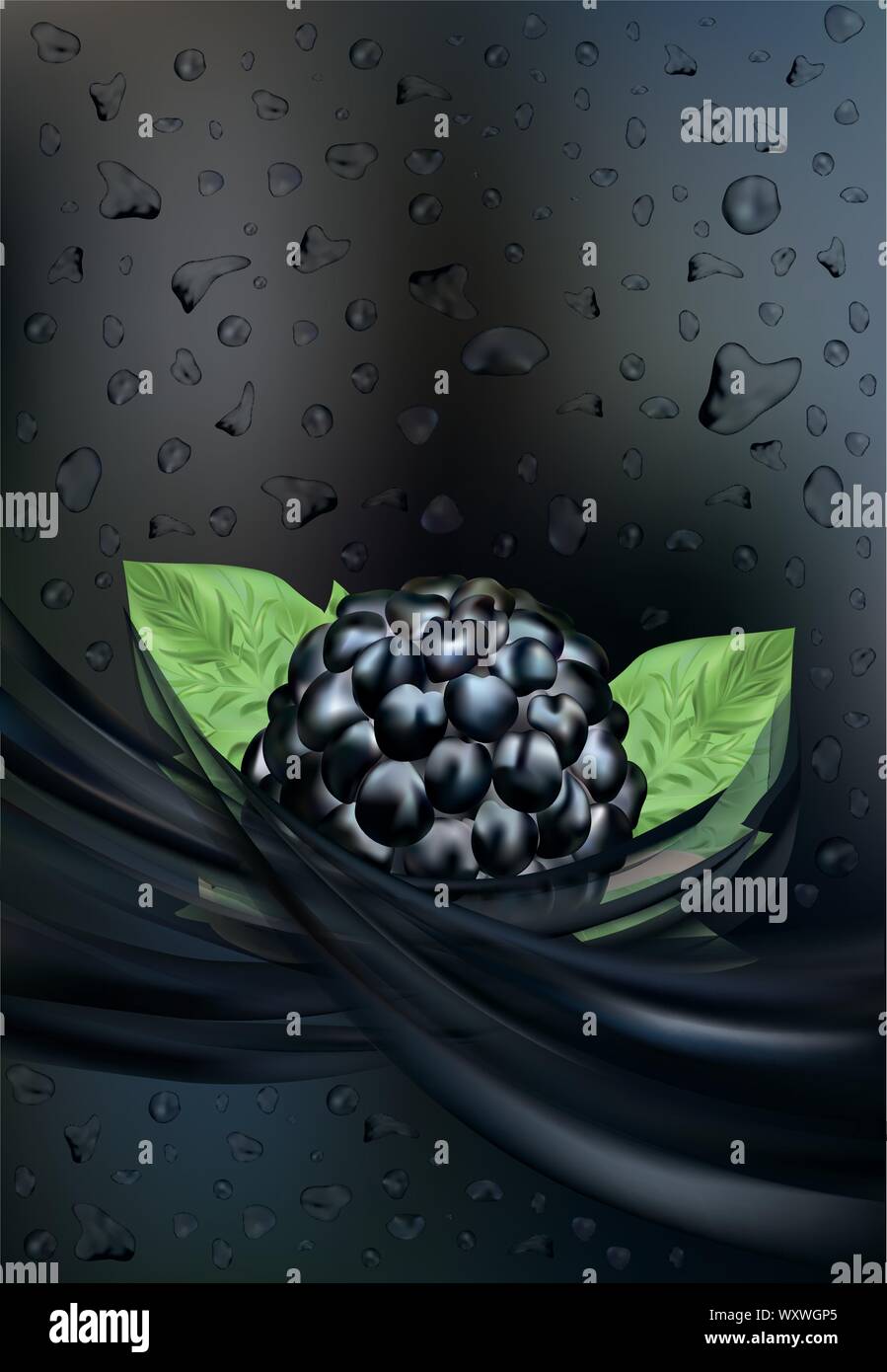 Blackberries forest Stock Vector Images - Alamy