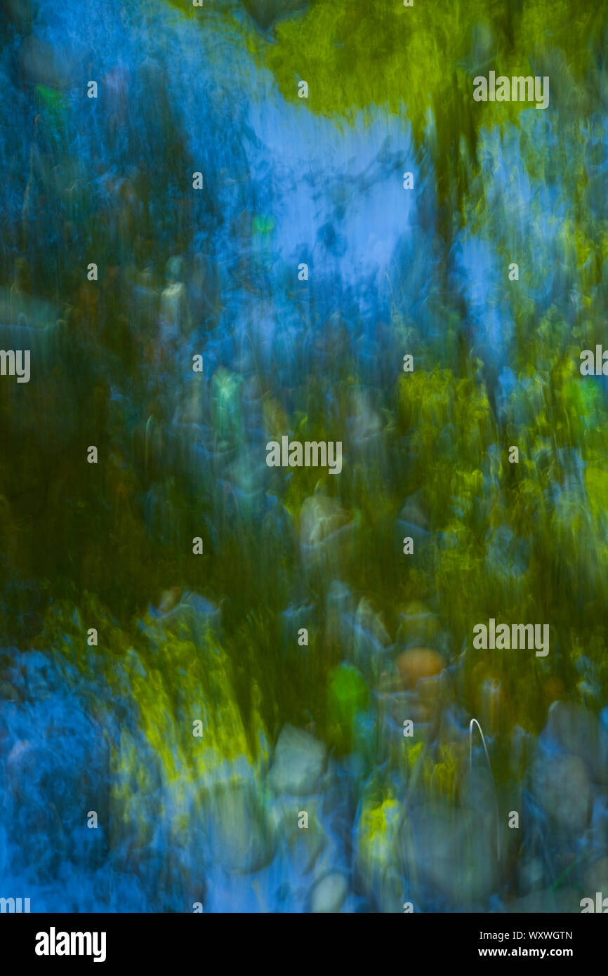 Reflejo del bosque hi-res stock photography and images - Alamy