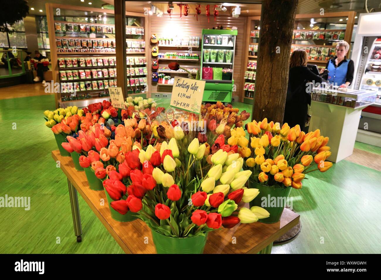 AMSTERDAM, NETHERLANDS NOVEMBER 21, 2018 Tulip flower shop at