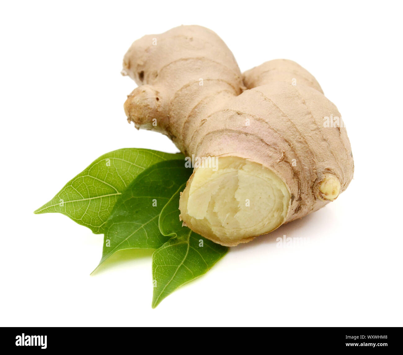 Fresh ginger with leaves Stock Photo Alamy