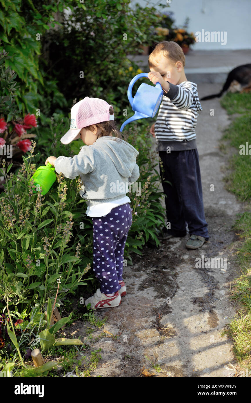 Young children watering plants in the garden. Summertime Stock Photo