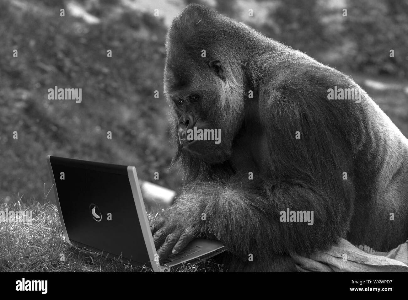 Office, officework, officemeeting, meeting, work, communication, note, botebook, mobile, smartphone, desk, table, deal, finance, accounting, money. Stock Photo