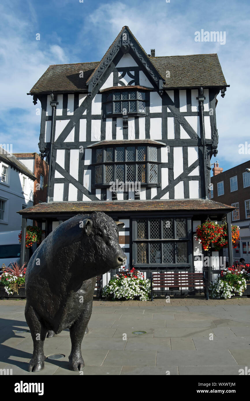 the lifesize bronze statue of a hereford bull in front of the 17th