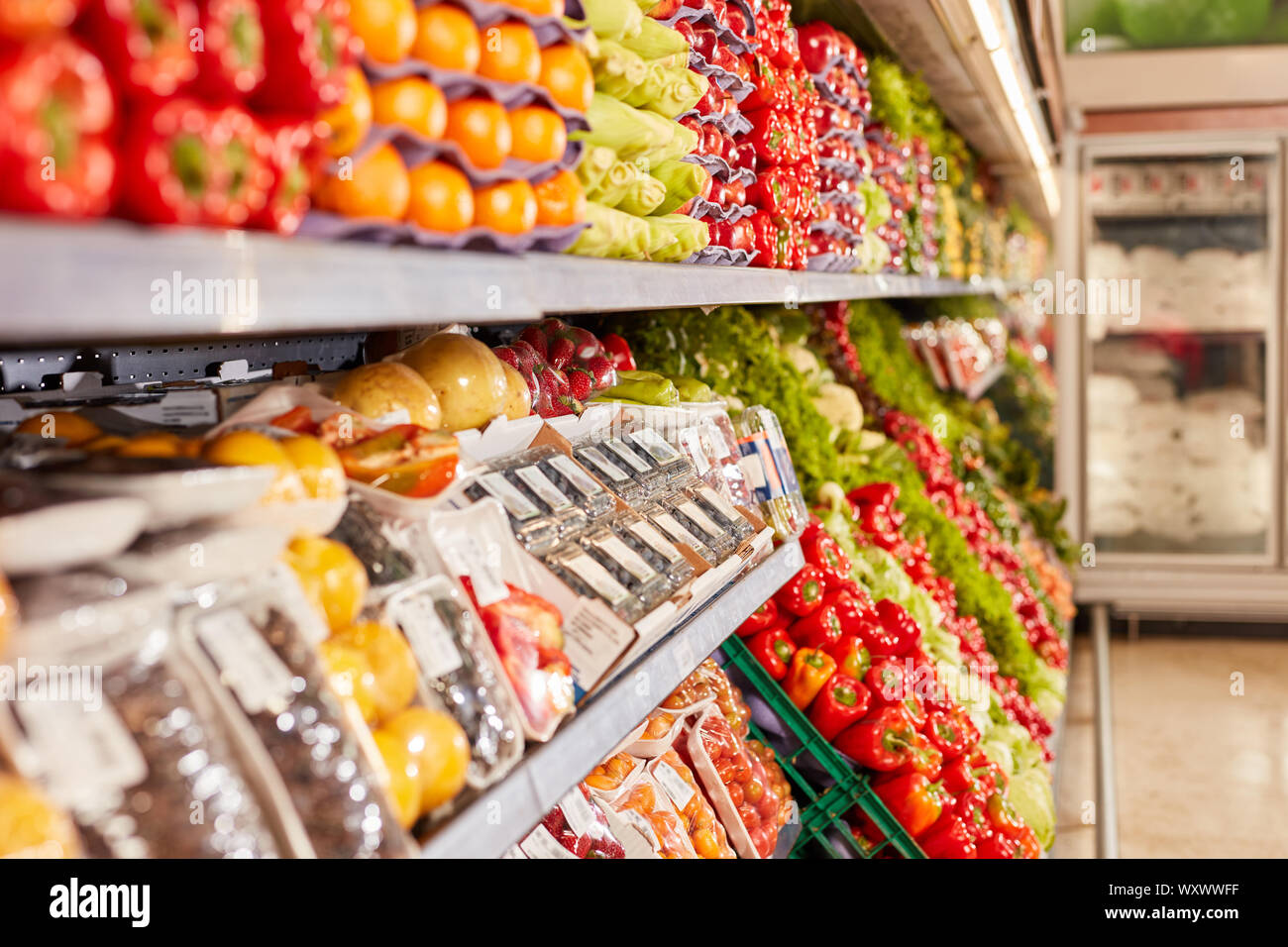 Shelf with a large selection of fresh vegetables and fruits in the