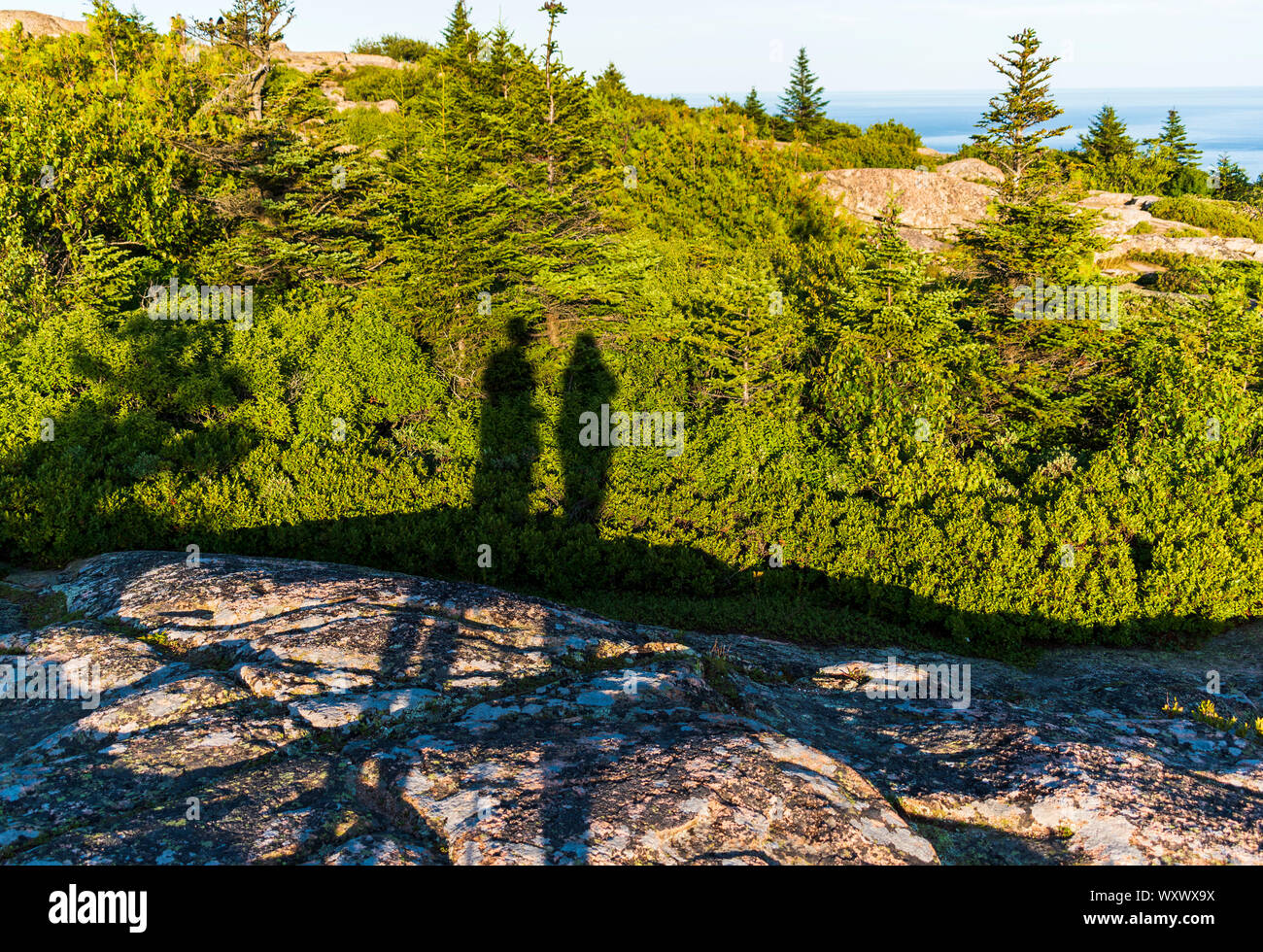 Horizontal Bar Lovely High Resolution Stock Photography and Images Alamy