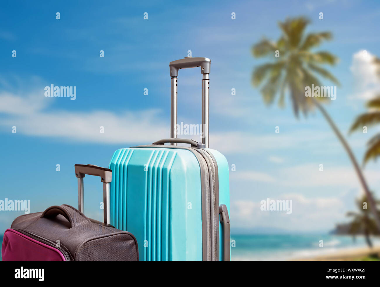 Composition with two suitcases on the background of tropic beach Stock Photo