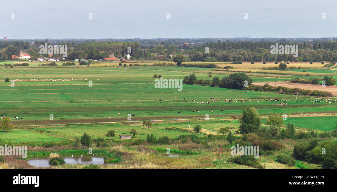 DUTCH POLDER SEARCH visual data 8