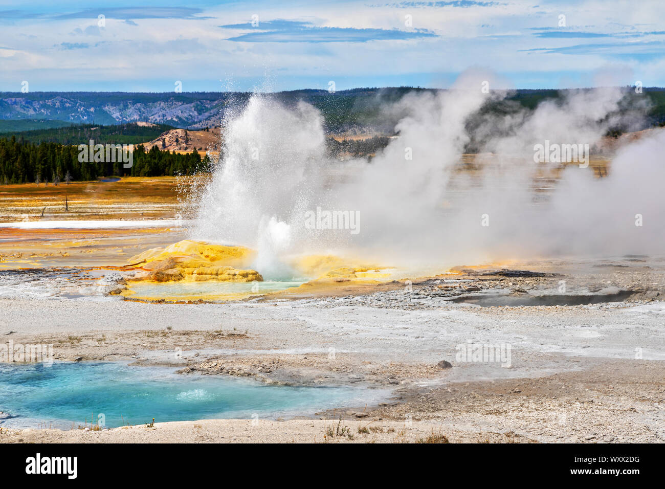 Clepsydra Geyser at Fountain Paint Pot area of Yellowstone National Park in Wyoming, USA. Stock Photo