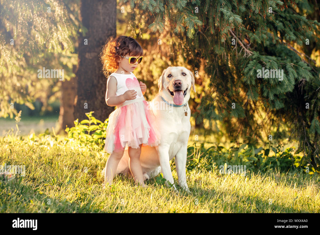 Cute adorable little curly Caucasian girl wearing yellow sunglasses with her dog in park outside at sunset on summer day. Child playing with animal Stock Photo