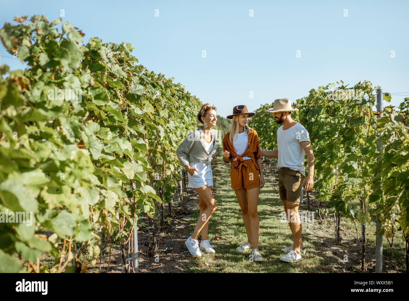 Group of a young friends hanging out together on the vineyard during a sunny morning Stock Photo