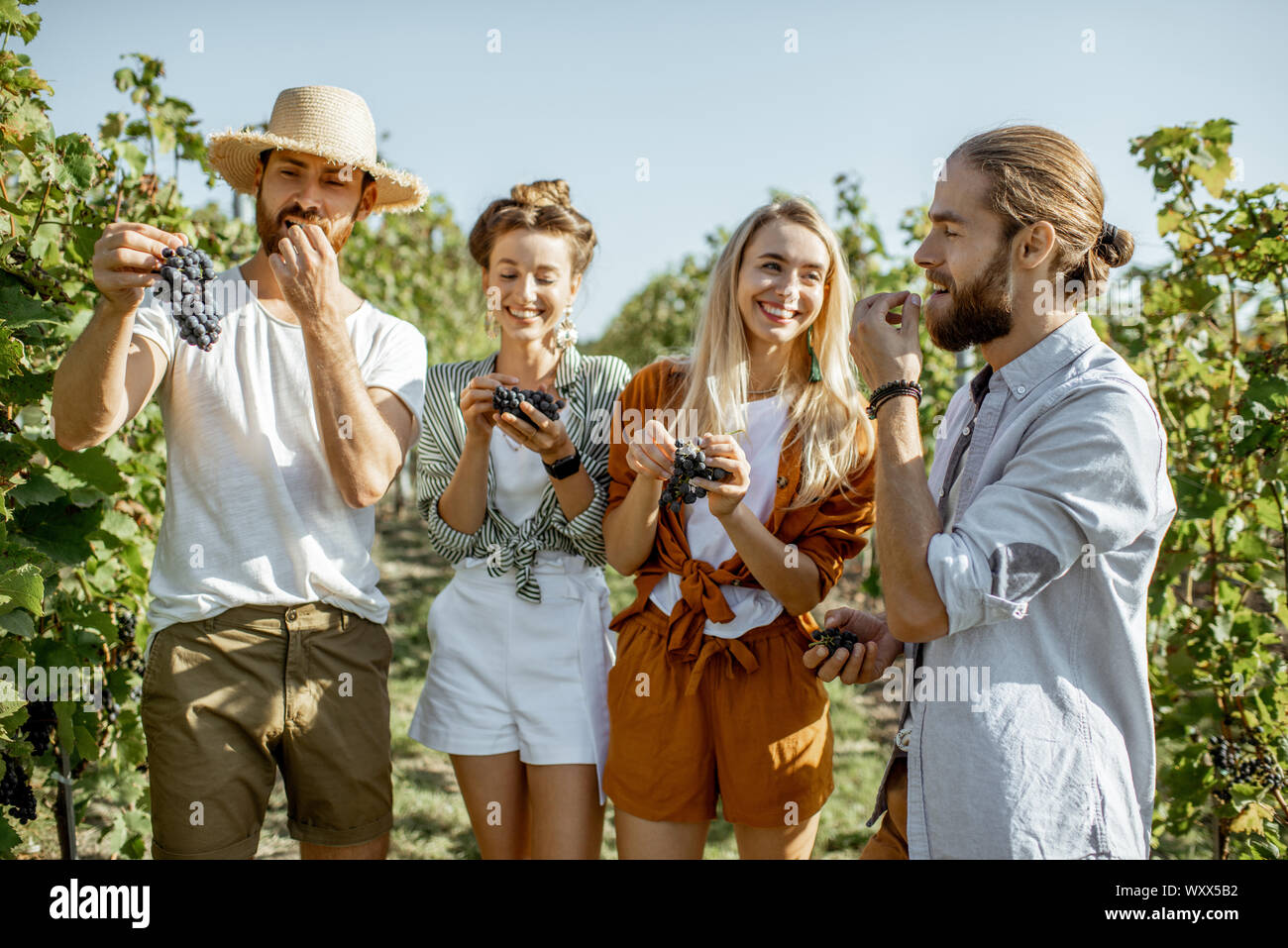 Group of a young friends tasting grapes on the vineyard, having fun while hanging out together at the winery on a sunny morning Stock Photo