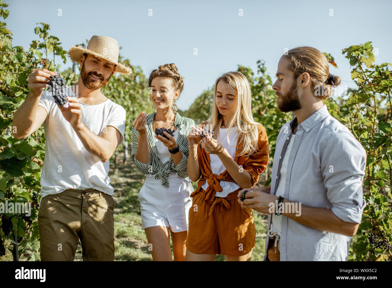 Group of a young friends tasting grapes on the vineyard, having fun while hanging out together at the winery on a sunny morning Stock Photo